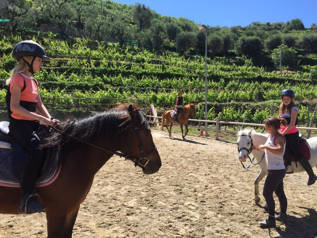 Il Villaggio Di Giuele Finale Ligure Buitenkant foto